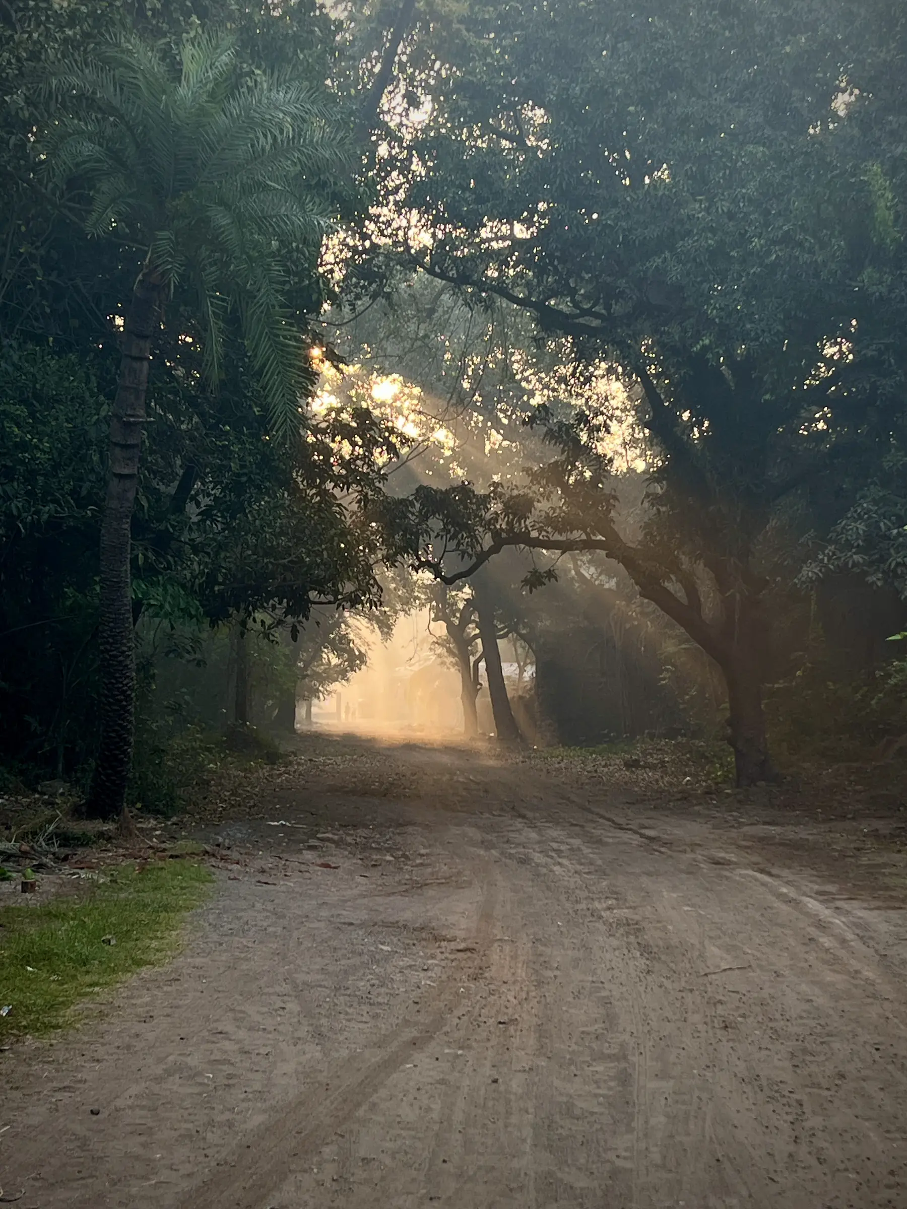 Location, early morning